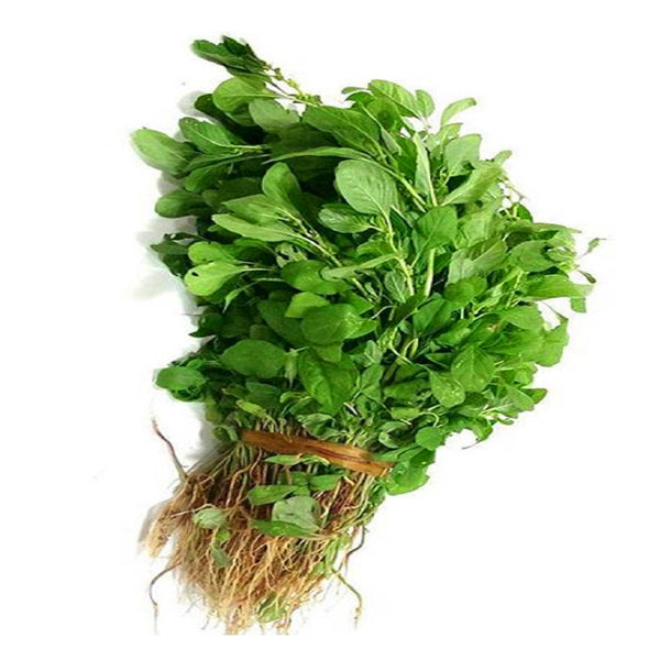 Arai Keerai Big Amaranthus Aritis / Organic seeds