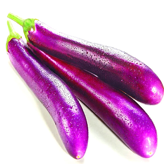 Brinjal Purple Long / Organic Seeds