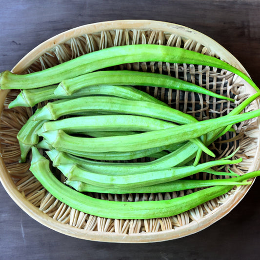 Elephant Tusk Ladies finger / Organic Seeds