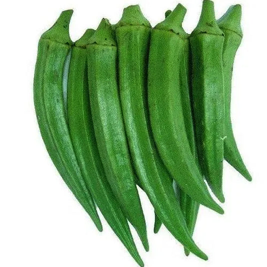 Ladies Finger Green Long / Organic Seeds