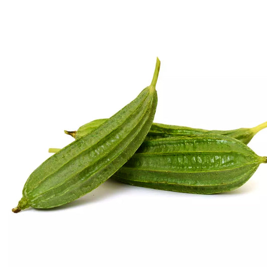 Ridge Gourd Short / Organic Seeds