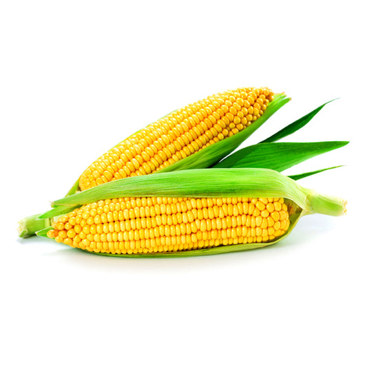 Sweet Corn / Organic Seeds